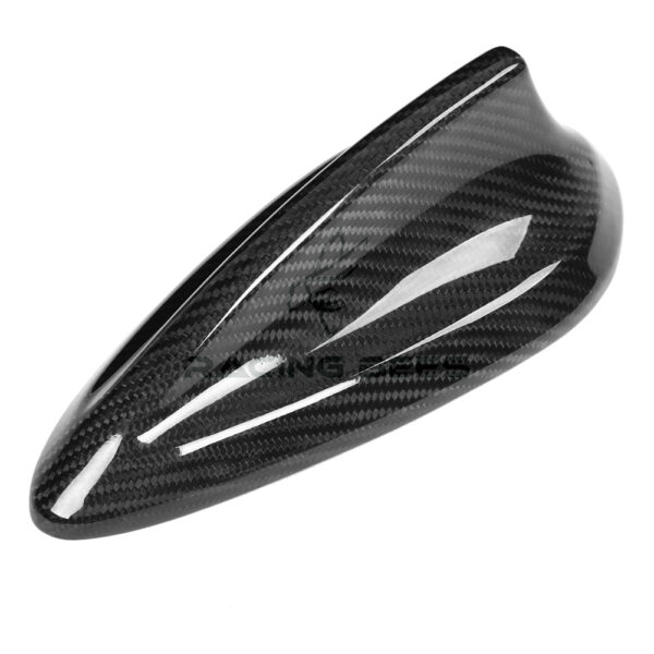 18-F30ANTaa.jpg